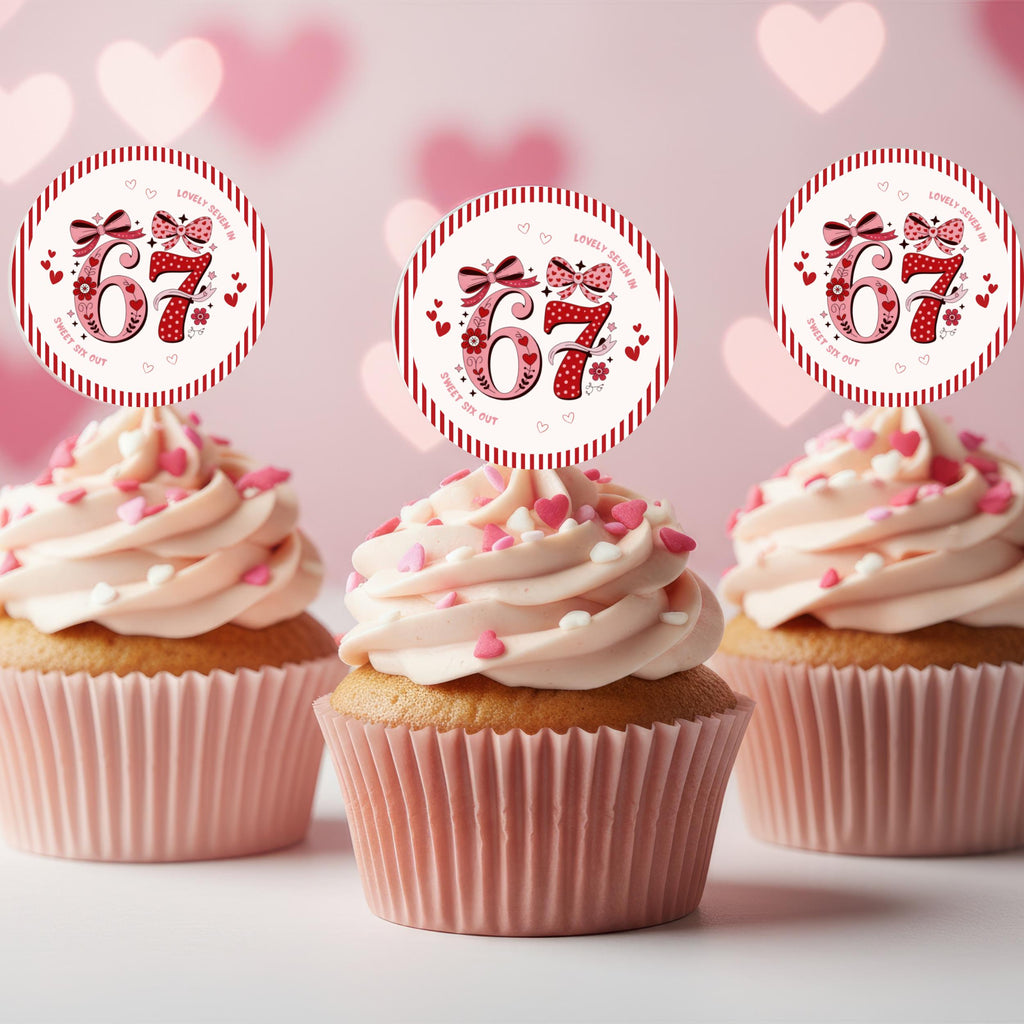 Pink 6 7 Birthday Party Cupcake Toppers