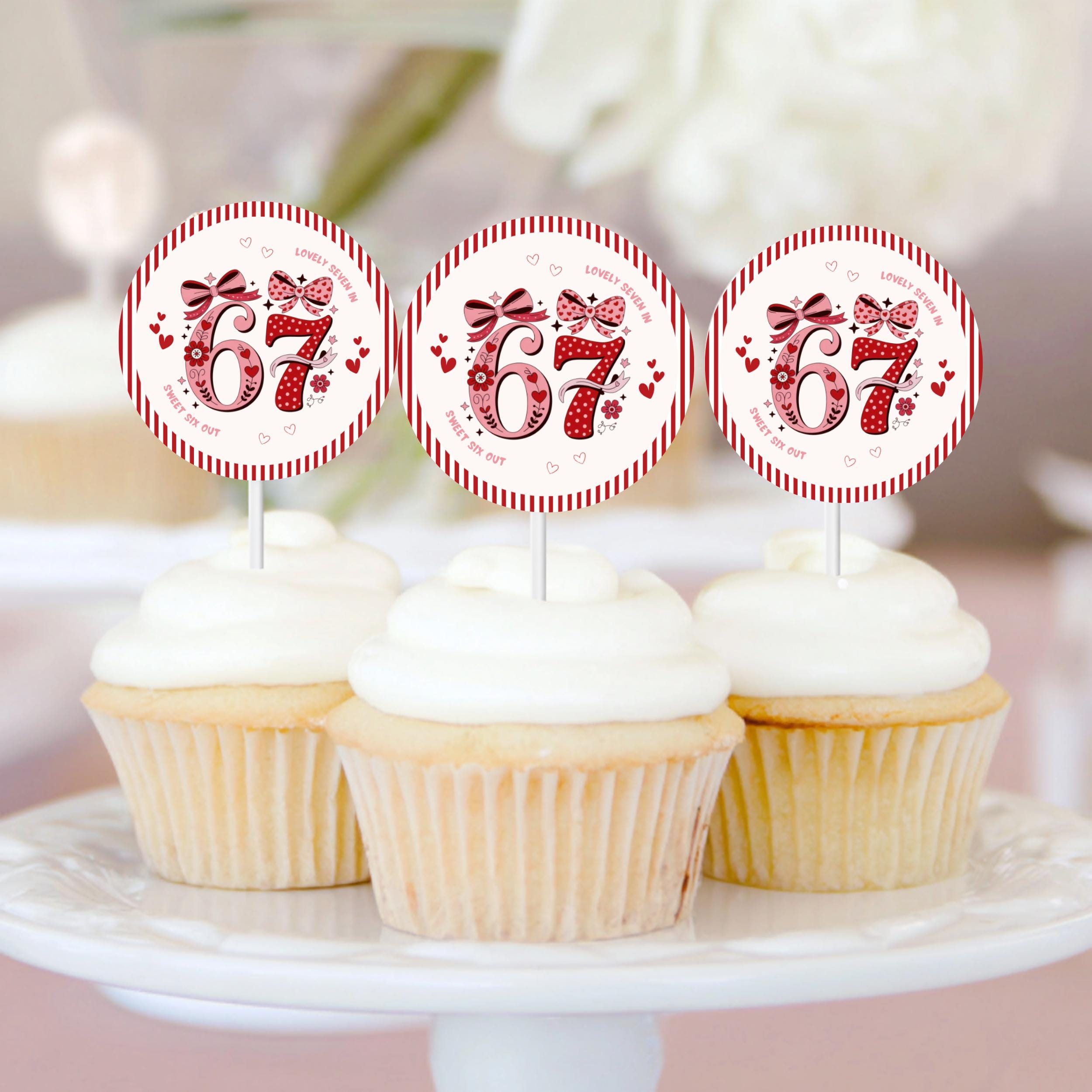 Pink 6 7 Birthday Party Cupcake Toppers