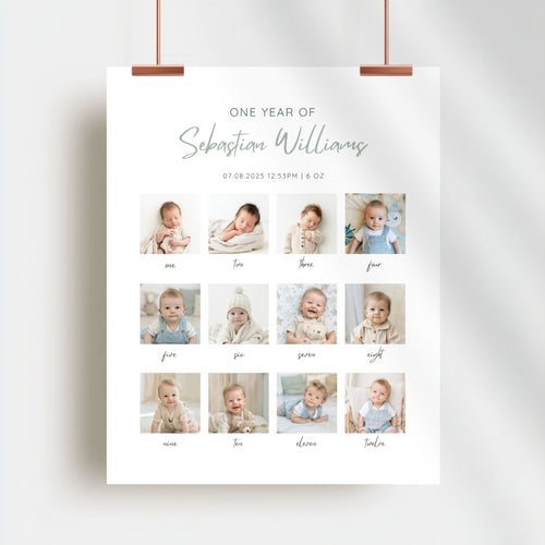 Baby Birthday Monthly Milestone Sign