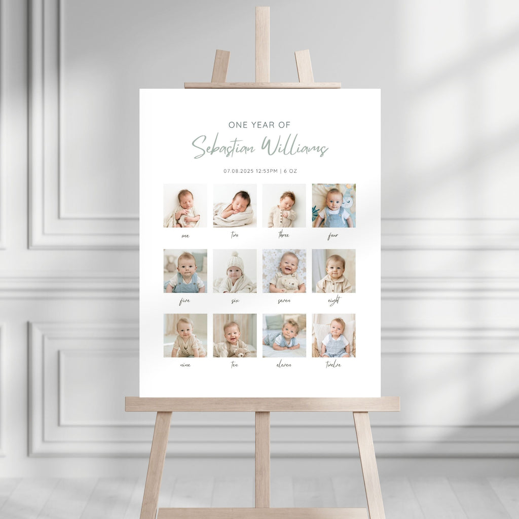 Baby Birthday Monthly Milestone Sign
