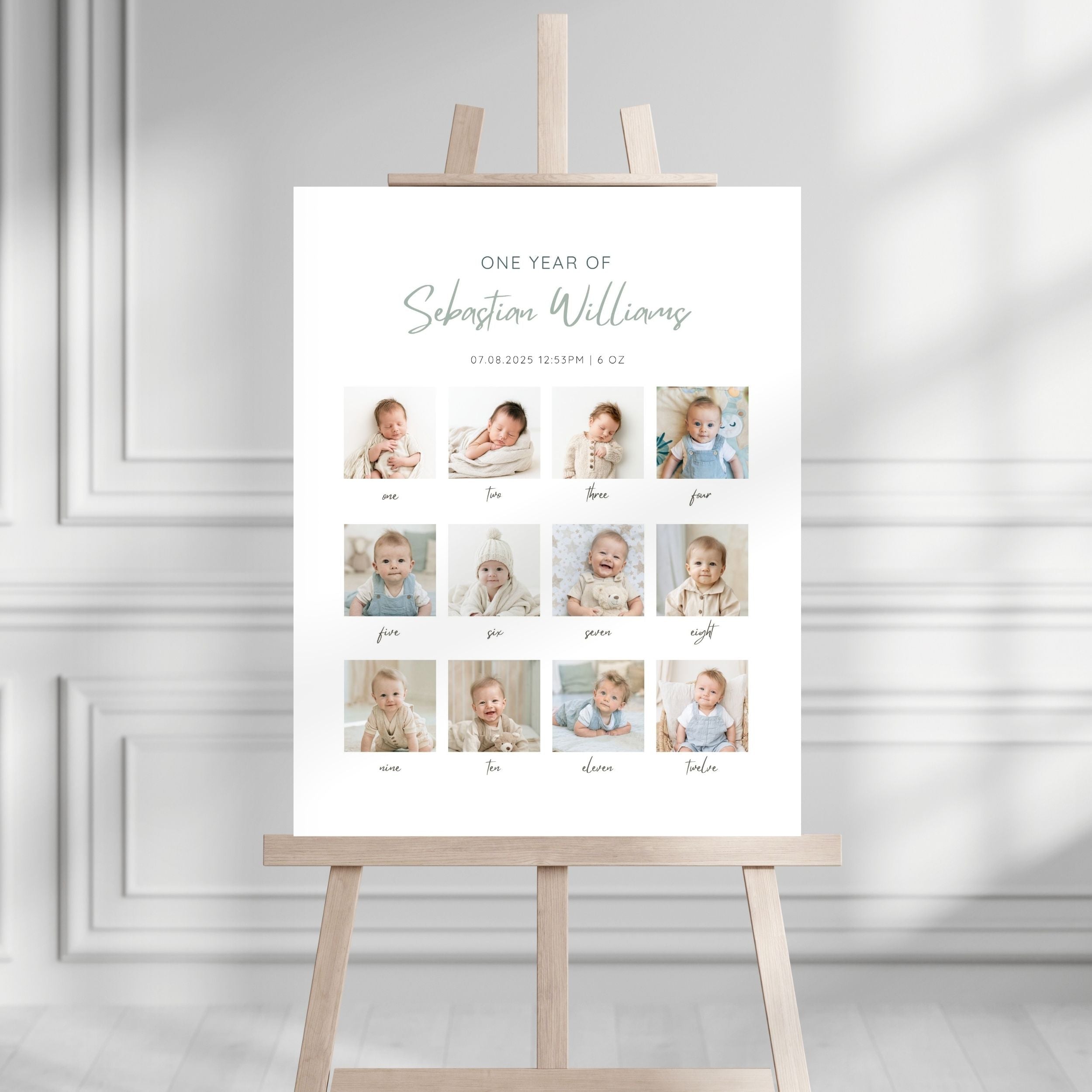 Baby Birthday Monthly Milestone Sign