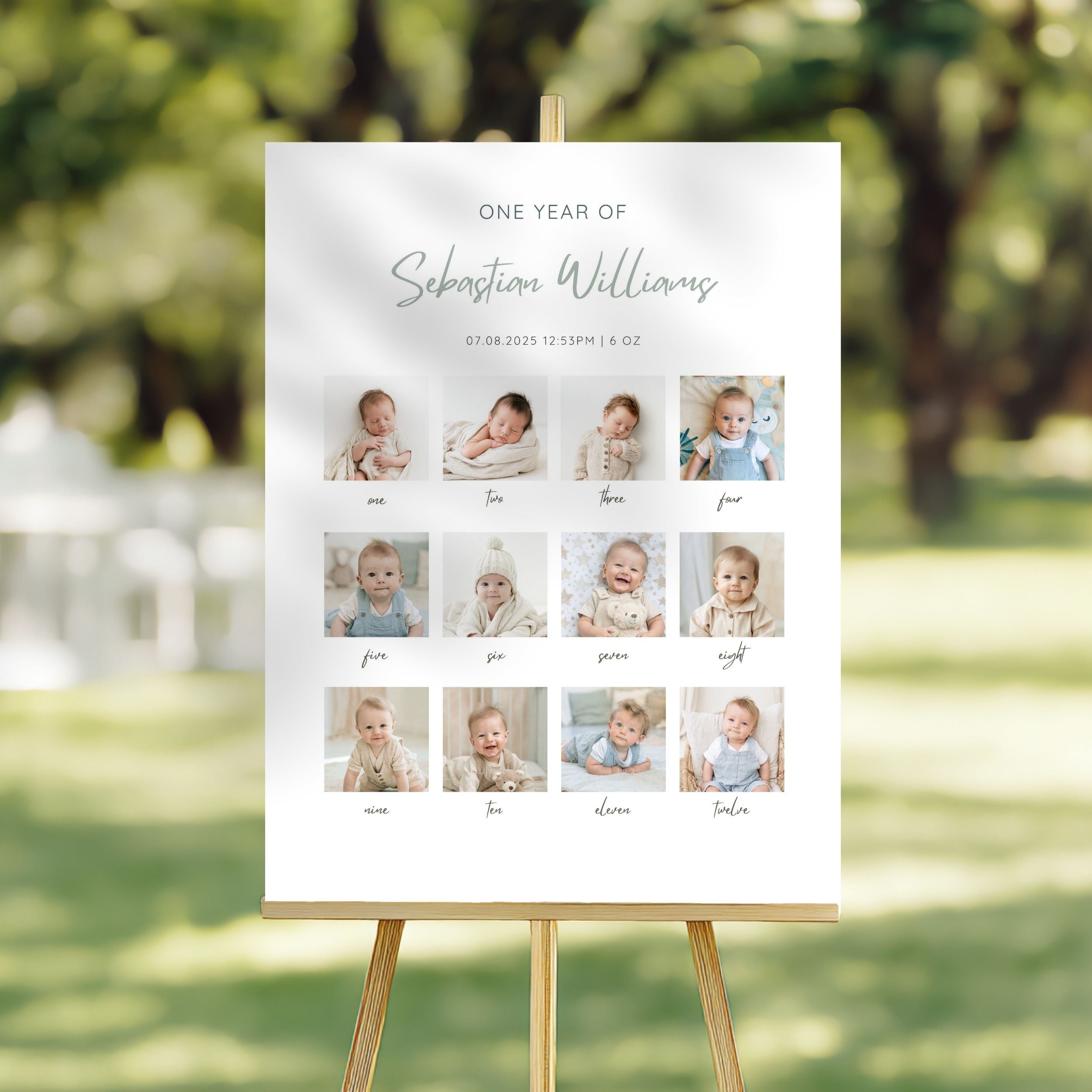 Baby Birthday Monthly Milestone Sign