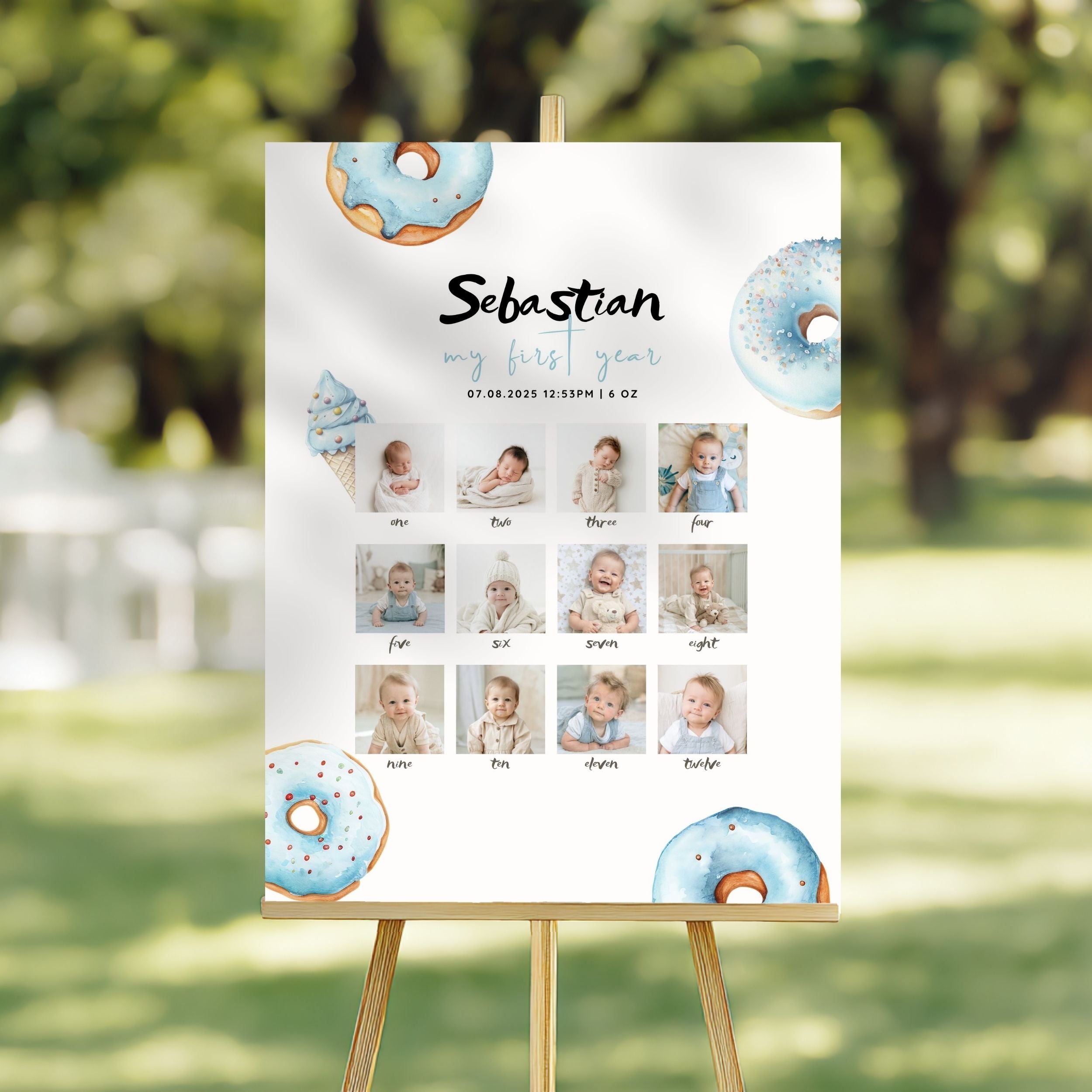 Blue Sweet Birthday Monthly Milestone Sign Boys
